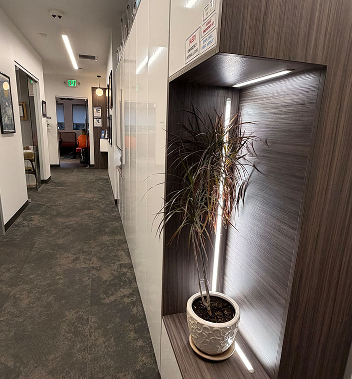 The image shows an interior space with modern decor, featuring a long hallway with a sleek design, a potted plant on a shelf, and a wall-mounted light illuminating the plant.