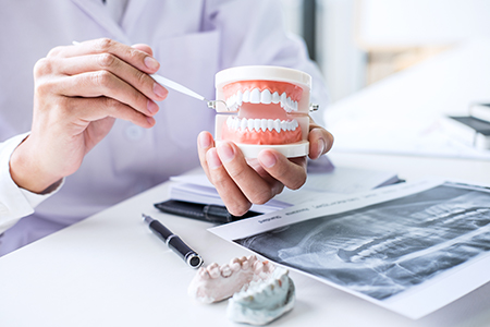 The image shows a dental professional holding a tooth model, examining it with a magnifying glass while sitting at a desk with various dental tools and equipment around.